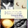 Buy MRCOG certificate Online